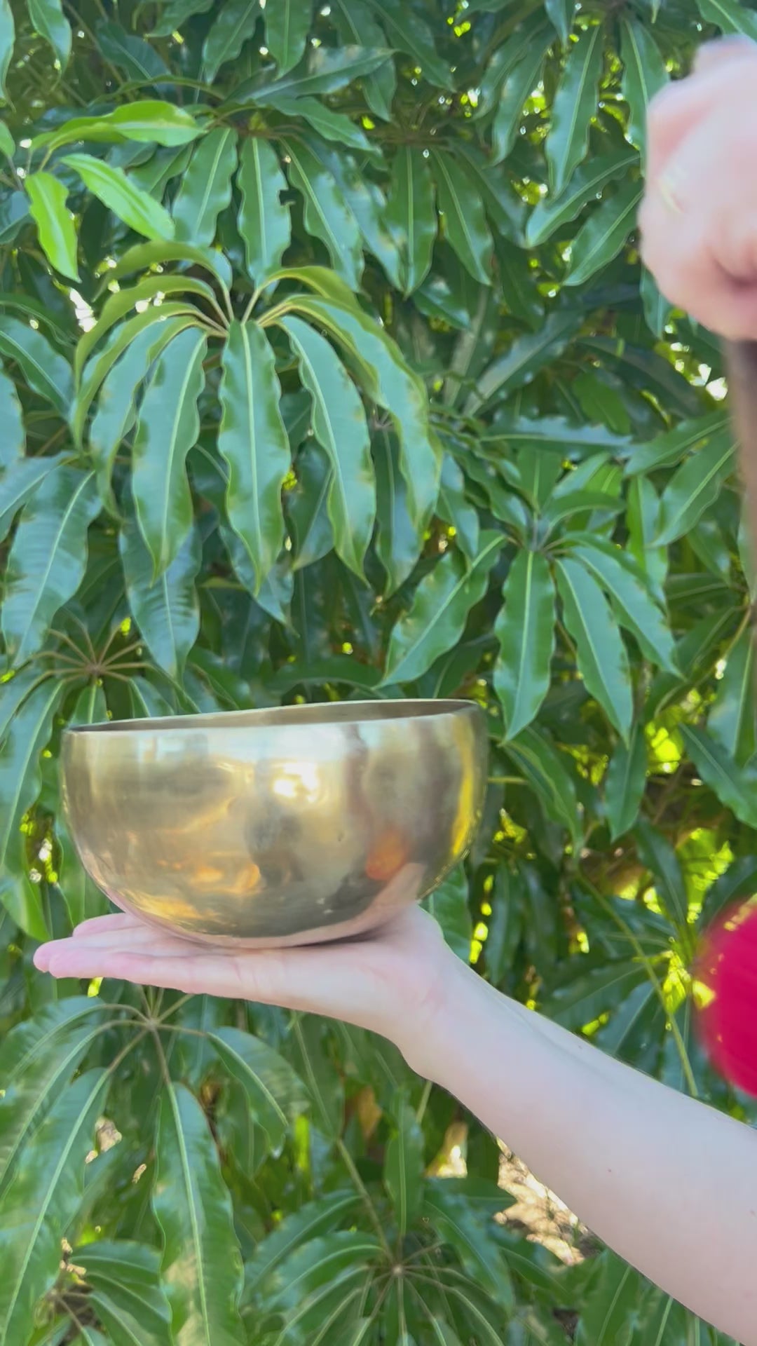 Tibetan Singing Bowl - Heart Chakra