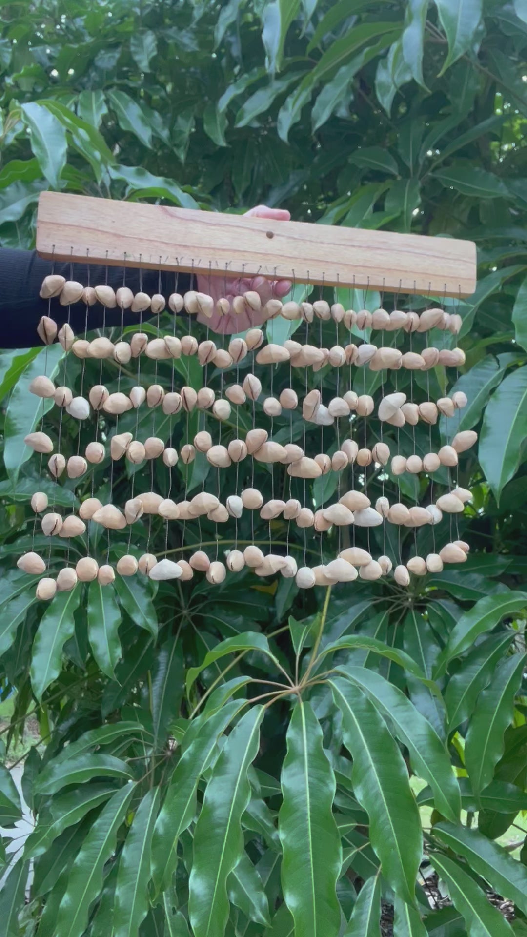 Kenari Waterfall Seed Chime