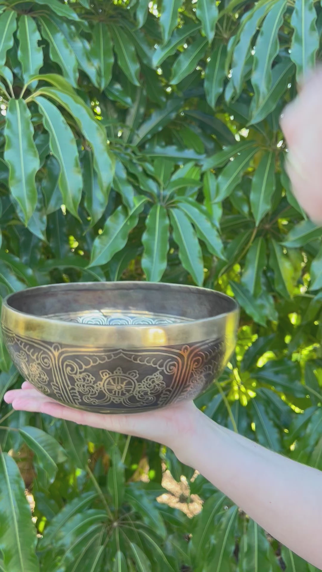 Tibetan Singing Bowl - 8 Auspicious Symbols - Root Chakra 1