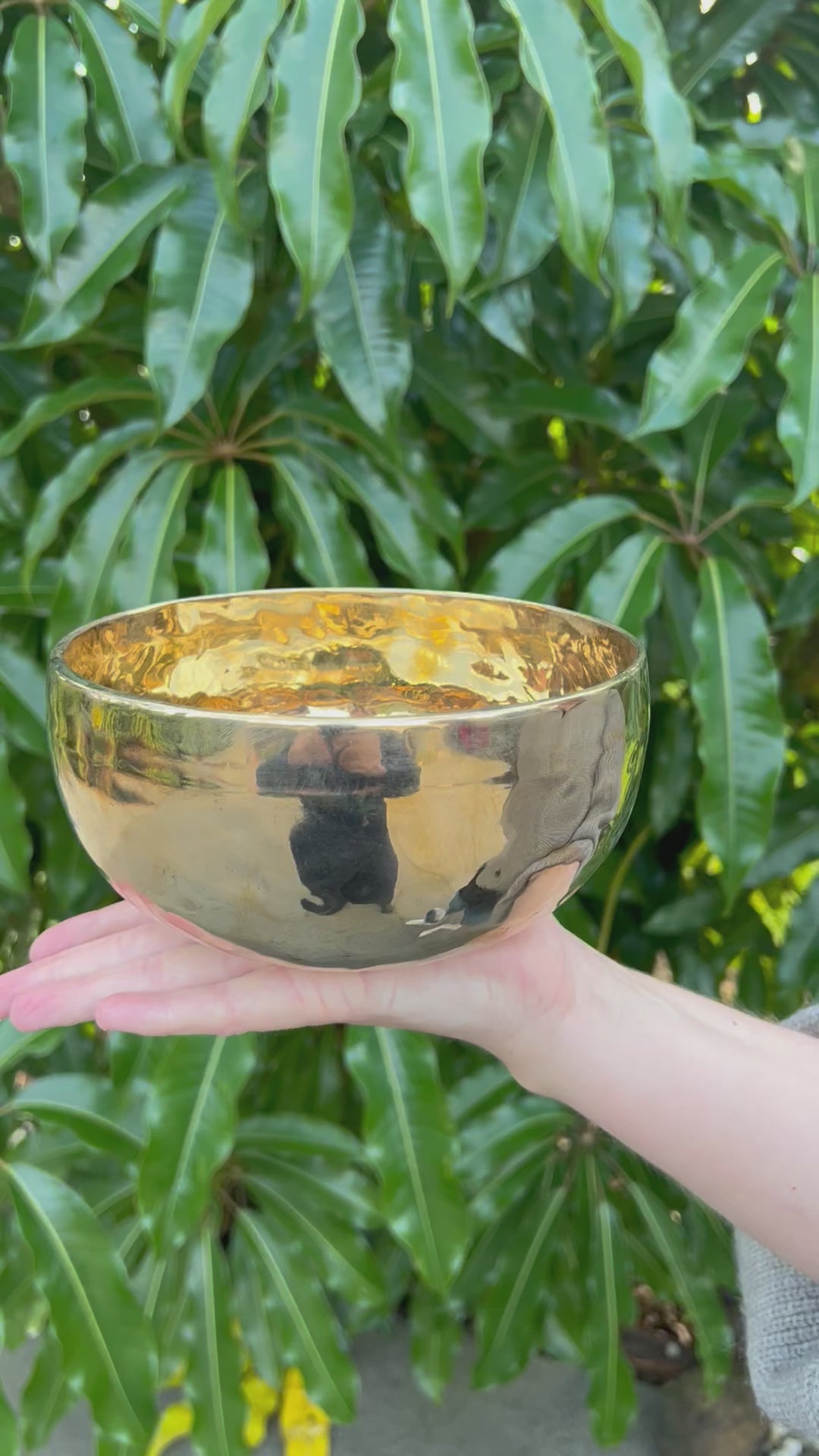 Tibetan Singing Bowl - Crown Chakra 2